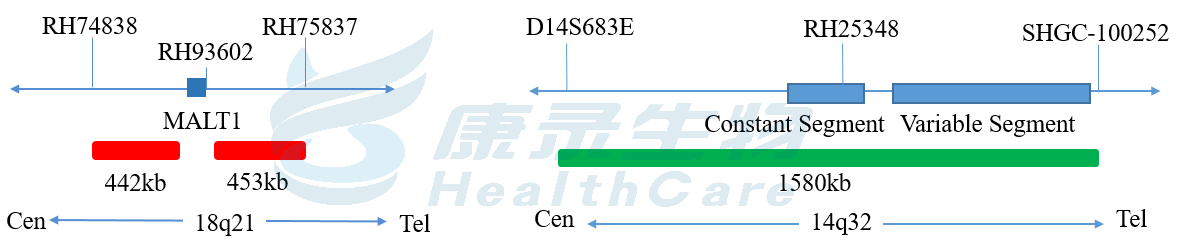 中国·拉斯维加斯(3499·官方认证)网站-Officialwebsite